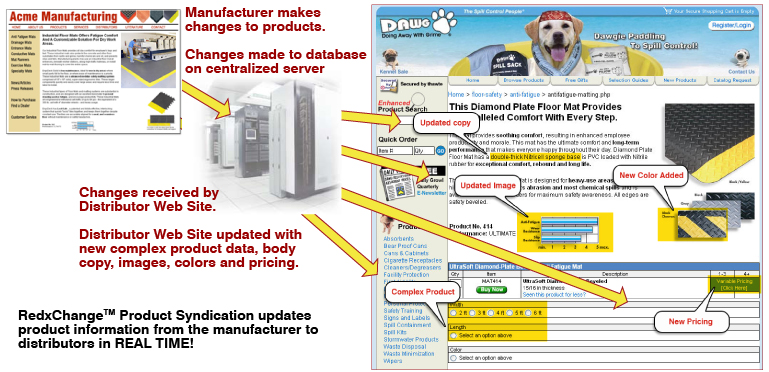 Information Gap Web Solved